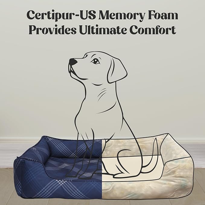 Orthopedic Bolster Dog Bed β CertiPUR-US Foam, Recycled Polyester Canvas, Washable Cover, Anti-Slip Bottom, Medium, Light Blue Check β Stylish Designer Dog Sofa
