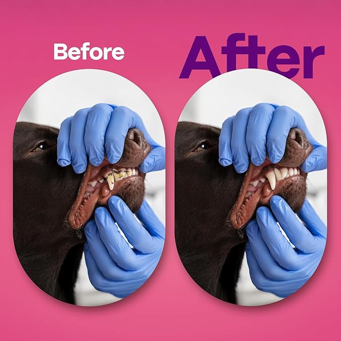 DOCO Dog & Cat Ear & Teeth Cleaning Wipes Kit - Removes Plaque, Tartar & Wax, Freshens Breath, Soothes Ears with Chamomile, Aloe & Bacon Flavor - Gentle & Effective for All Pets, 100 Count