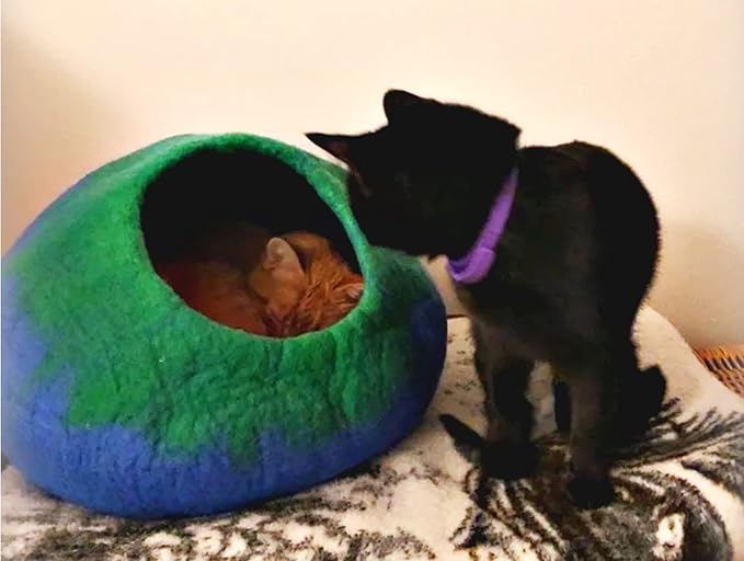 Woolygon Premium Felt Cat Cave Bed β Wool Kitty Beds Handcrafted Kitten Caves Bed for Indoor Cats - Made from 100% Eco-Friendly Merino Wool, Foldable Cat Hidewawy Covered Cat Houses (Emerald Indigo)