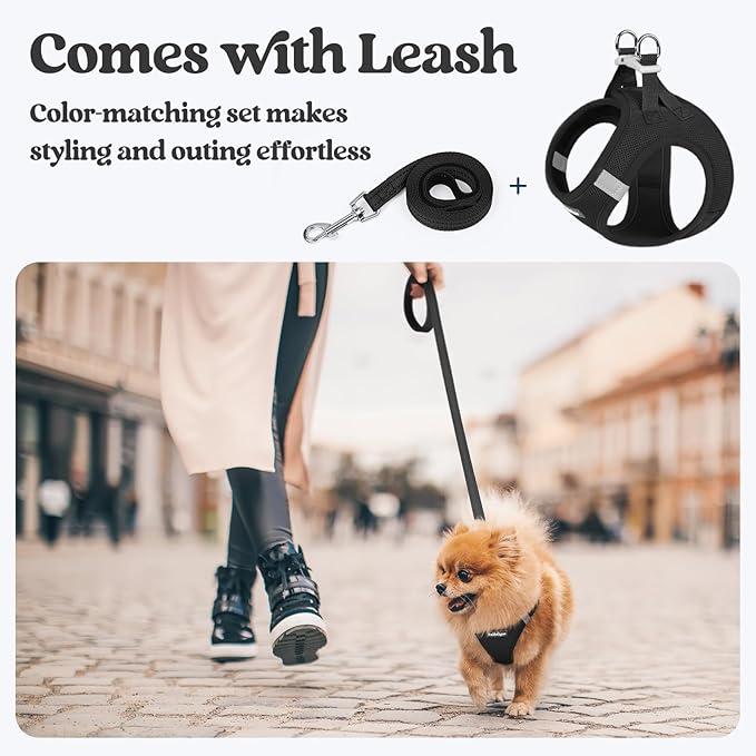 rabbitgoo Dog Harness Small Sized and Leash Set, Step in Soft Light Puppy Vest, Breathable Mesh Pet Harness, Reflective for Outdoor Safe Walking, Black XL