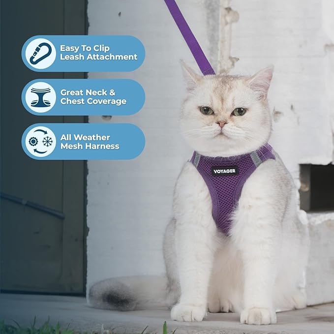 Voyager Step-in Pet Harness - All Weather Mesh, Adjustable Step in Harness for Cats and Dogs by Best Pet Supplies - 307S Purple, M