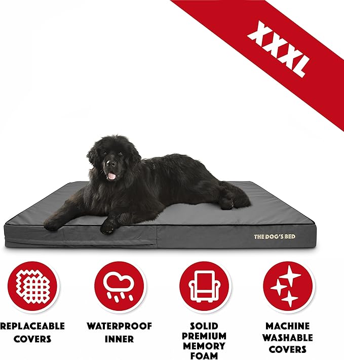 The Dog’s Bed Orthopedic Memory Foam Dog Bed, XXXL Grey & Black, Waterproof, Supportive Dog Bed with Replaceable Covers