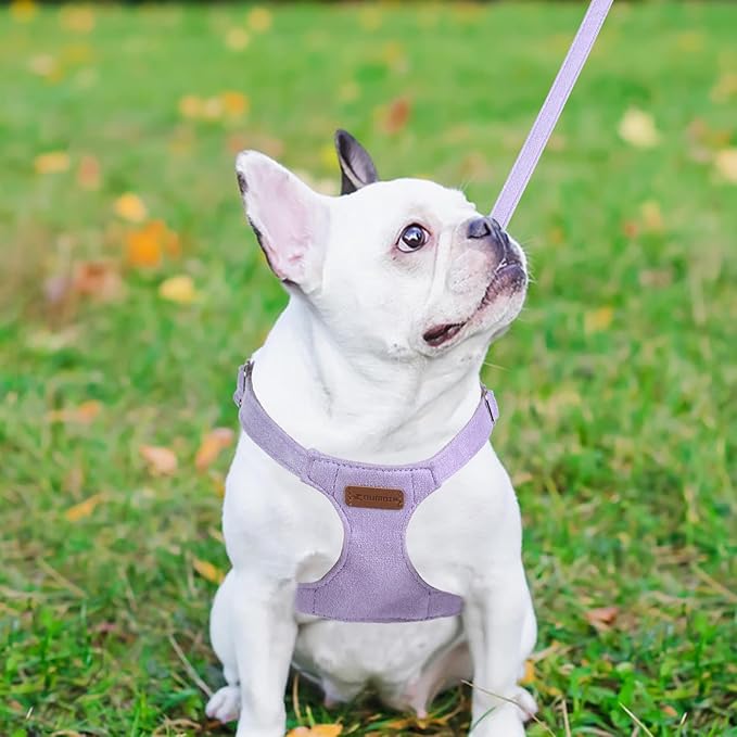 Dog Harness and Leash Set, S No Pull Adjustable Puppy Harness with Multifunction Purple Dog Leash and Collar, Soft No Choke Escape Proof Pet Harness Vest for Small Dogs and Cats (Purple, S)