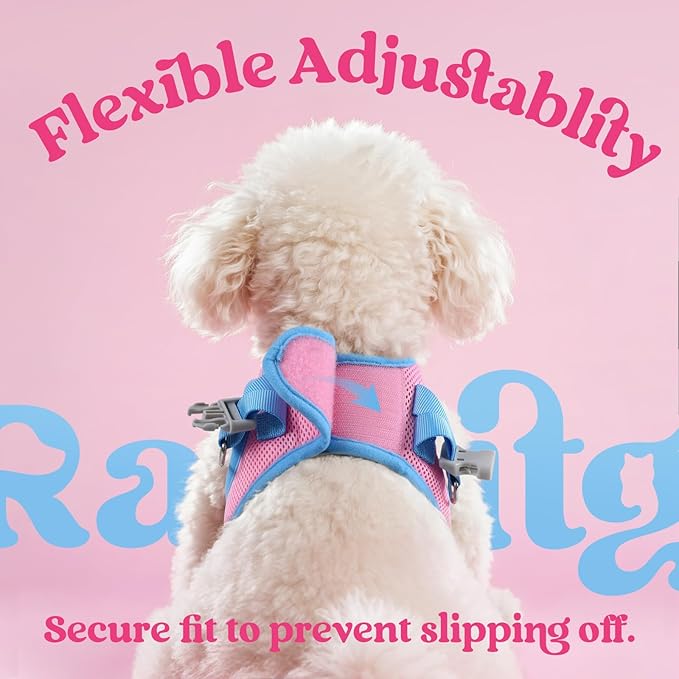 rabbitgoo Dog Harness Small Sized and Leash Set, Step-in Breathable Pet Harness, Soft Walking Reflective Puppy Vest for Small Dogs, Pink & Light Blue, S