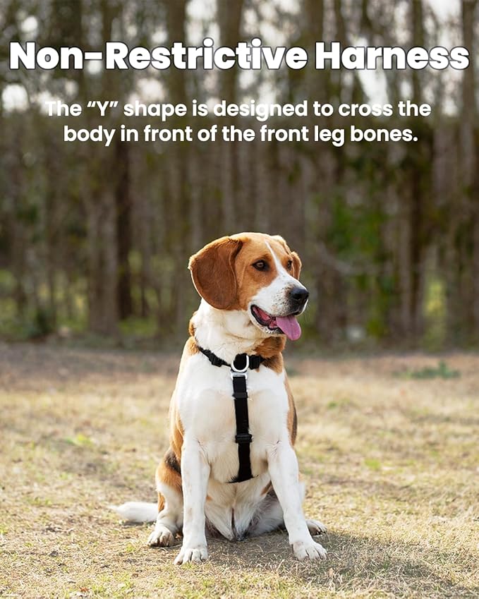 Non-Restrictive Dog Harness Medium Sized Dog, Easy Walk Freedom No Pull Harness, Keep Balance, Neck-Buckle, Six Points Adjustment, 2 Leash Clips for Back/Front Clip, Blue/Black
