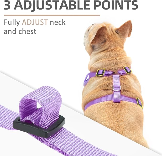 PUPTECK Small Dog Harness and Leash Set, No Pull Adjustable Puppy Cat Harness, Reflective Soft Mesh Pet Vest Small Sized
