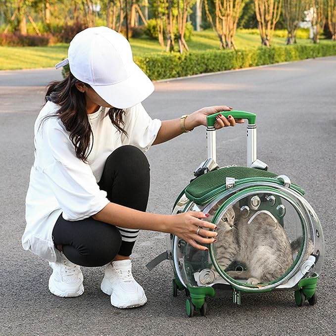 Pet Trolley Case with Ventilation Holes, Pet Carrier,Rolling Carrier,Clear Window Trolley Case,Strollers for Small Dogs,Cat Carrier with Silent Wheels Telescopic for Travel Orange