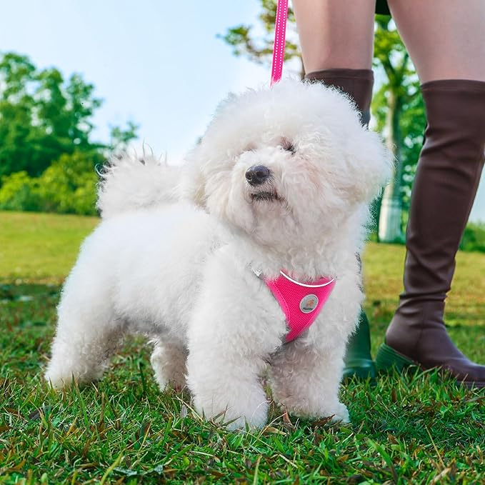 Dog Harness and Leash Set, No Pull Soft Mesh Puppy Harness for Small Medium Dogs, Cats - Step in Reflective Breathable Lightweight Vest Harness for Walking, Training - Rose Red, S