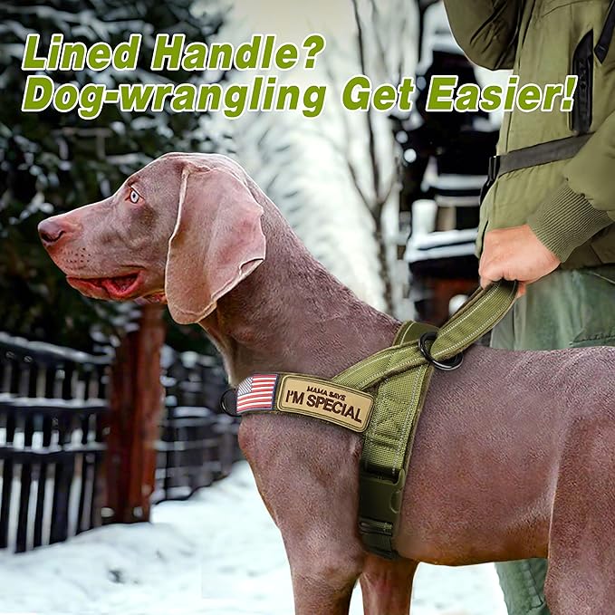 Forestpaw No Pull Dog Harness with Flannel Lining, Reflective Escape Proof Vest for Large Dogs, Quick Release Comfortable for Walking Training (Includes Patches),Green XL