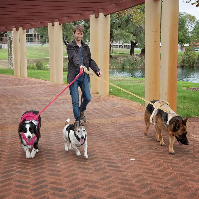 Wisedog No Pull Lightweight Dog Vest Harness with Soft and Comfortable Cushion, Breathable Mesh, for Small Medium Large Dogs Walking (XS(Neck: 7.48"-10.63";Chest: 10.63"-15.35"), Peacock Pink)