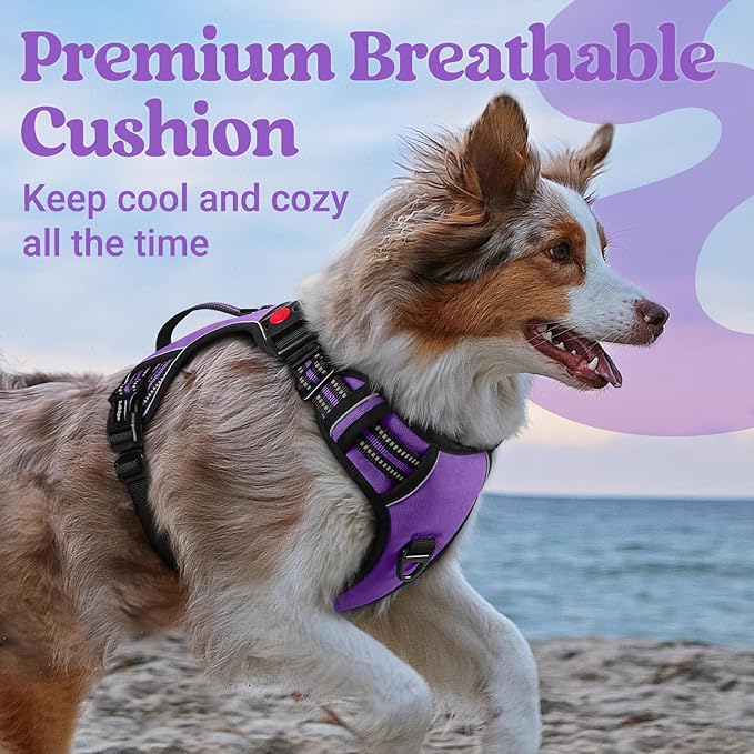 rabbitgoo Dog Harness Medium Sized, No Pull Pet Harness with Soft Padded Handle, Adjustable Reflective Vest with 3 Buckles, Easy Walking Harness with 2 Leash Clips, Purple, XL