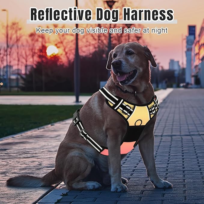 Rnivvi No Pull Dog Harness, Cute Reflective Medium Sized Puppy Harness, Adjustable Soft Padded Vest for Medium Dogs, Heavy Duty Pet Vest with Easy Control Handle for Walking, Abstract Gradient