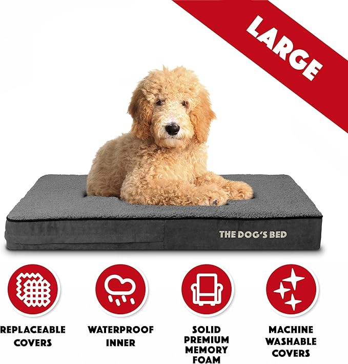 The Dog’s Bed Orthopedic Memory Foam Dog Bed, Large Grey Plush 40x25x4, Pain Relief for Arthritis, Hip & Elbow Dysplasia, Post Surgery, Lameness, Supportive, Calming, Waterproof Washable Cover