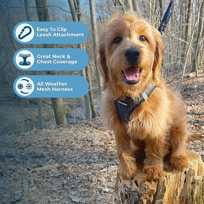 Best Pet Supplies Voyager Step-in Air Harness - All Weather Mesh, Reflective, No Pull Harness for Dogs, Cats - Secure with Hook & Loop Fastener, Buckle, Double D-Rings - Tone, S