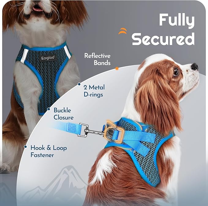 Eagloo Small Dog Harness and Leash Set, Step in Puppy Vest with Breathable Soft Mesh, Walking Reflective Pet Harness for Small Dogs, Blue, XS