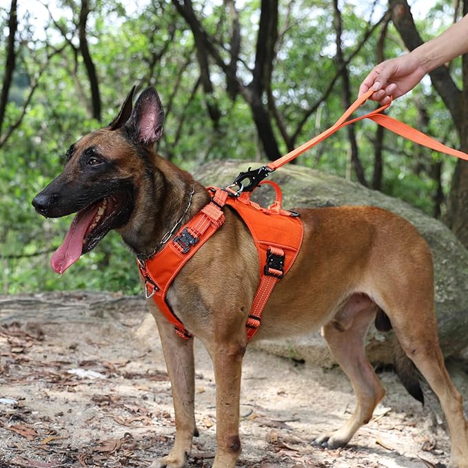 ICEFANG GN8 Tactical Dog Harness with 4X Metal Buckles for X-Large Sized Dogs,Reflective in Training Walking K9 Vest,No-Pull Front Leash Clip,Adjustable Pet Harness (Orange, X-Large (Pack of 1))