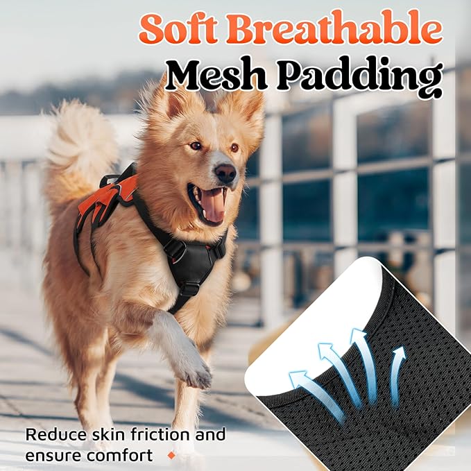 rabbitgoo Escape Proof Dog Harness, Soft Padded Full Body Pet Harness, Reflective Adjustable No Pull Vest with Lift Handle and Leash Clip for Large Dogs Walking Hiking Training, M, Orange