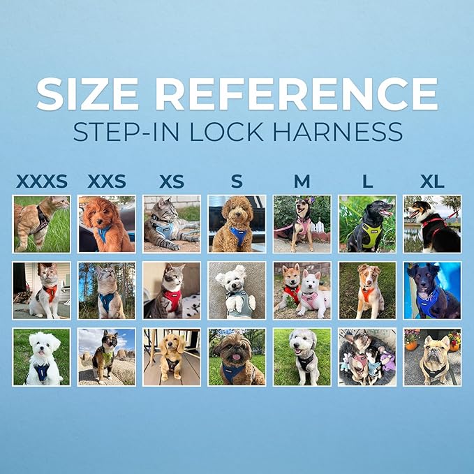 Voyager Step-in Pet Harness - All Weather Mesh, Adjustable Step in Harness for Cats and Dogs by Best Pet Supplies - Turquoise, S