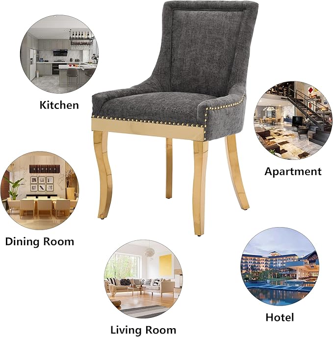 Luxury Fabirc Upholstered Dining Chairs Set of 2,Neutral Chenille Kitchen Room Chair with Nailhead Trim,Modern Padded Side Chairs for Dining Room,Living Room,Bar (Grey-Gold, Set of 2)