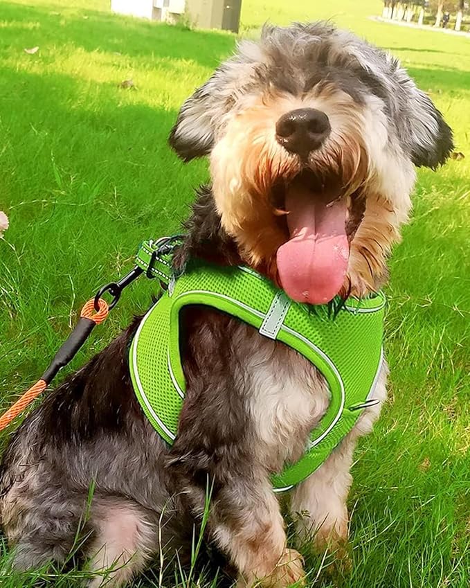 Joytale Small Dog Harness, Breathable Mesh Step-in Vest, Reflective Soft Padded Harnesses for Small and Medium Dogs, Green, L