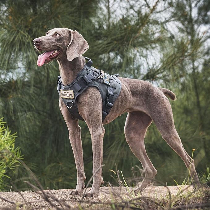 OneTigris Tactical Dog Harness Vest,Adjustable Dog Harness for Large Dogs,No-Pull Service Dog Vest with Hook & Loop Panels(Grey,X-Large)