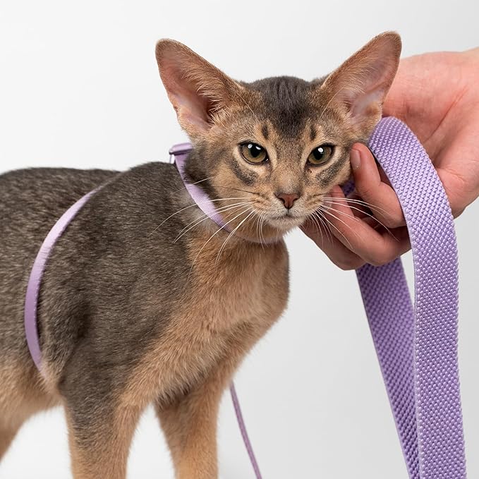Cat Harness and Leash 2-in-1, Escape Proof Anti-Chocking Harness Adjustable Lighweight Leash Walking Outoor Training for Kitten Small Large Cats Puppy, US IDA Bronze Award (Monet Purple)