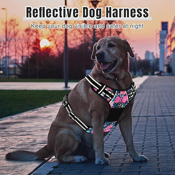 Rnivvi No Pull Dog Harness, Cute Flower Reflective X-Small Sized Puppy Harness, Adjustable Soft Padded Vest for Small Dogs, Cats, Heavy Duty Pet Vest with Easy Control Handle for Walking, Elegant