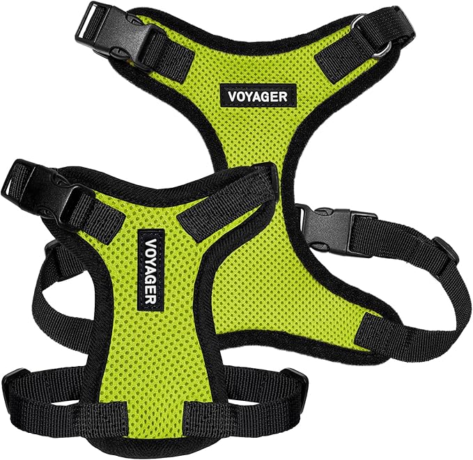 Voyager Step-in Pet Harness - All Weather Mesh, Adjustable Step in Harness for Cats and Dogs by Best Pet Supplies - Lime Green/Black Trim, M