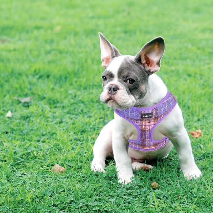 SCENEREAL Puppy Dog Harness with Leash Set for Small Medium Sized Dogs, Soft Mesh Step in Pet Harnesses and Leash, No Chock Plaid Adjustible No Pull Vest for Dogs Cats, Chihuahua,Bulldog (Purple S)