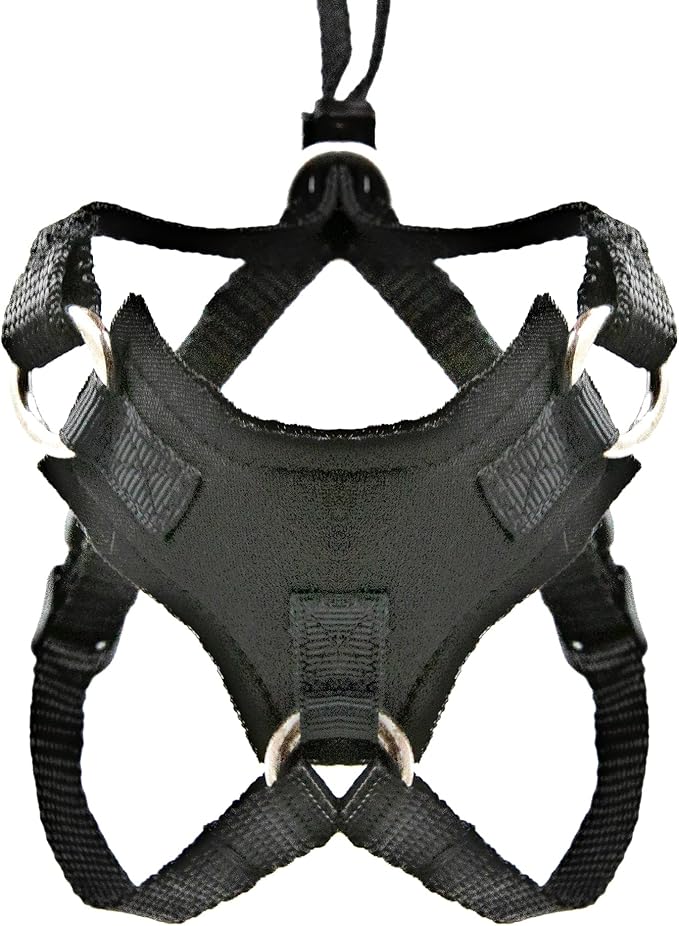 Houdini™ Escape Proof Cat Harness and Leash Set by OutdoorBengal – Black, Medium Cat Harness for Walking