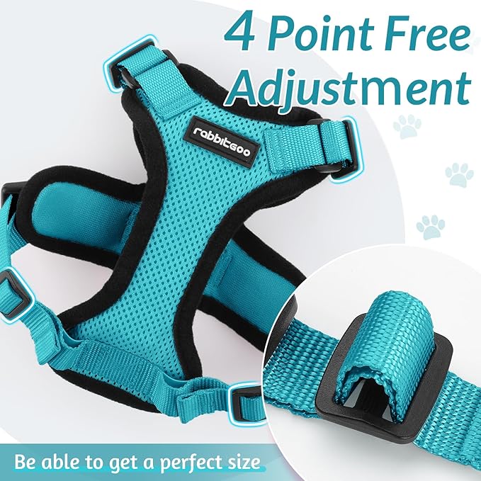 rabbitgoo Cat Harness and Leash for Walking, Escape Proof Soft Adjustable Vest Harnesses for Cats, Easy Control Breathable Reflective Strips Jacket, Teal, XXS
