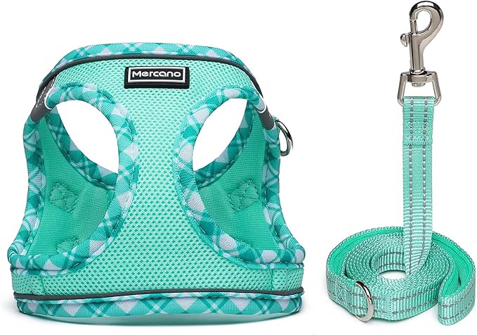 Mercano Soft Mesh Dog Harness and Leash Set, No-Chock Step-in Reflective Breathable Lightweight Easy Walk Vest Harnesses with Safety Buckle for Small Dogs, Cats (Light Green, XXS)