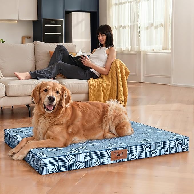 Outdoor Dog Bed for Medium/Small Dogs, Waterproof Dog Bed for Medium Dogs Cats, Orthopedic Egg Crate Foam Pet Bed with Washable Removable Oxford Cover, White Blue