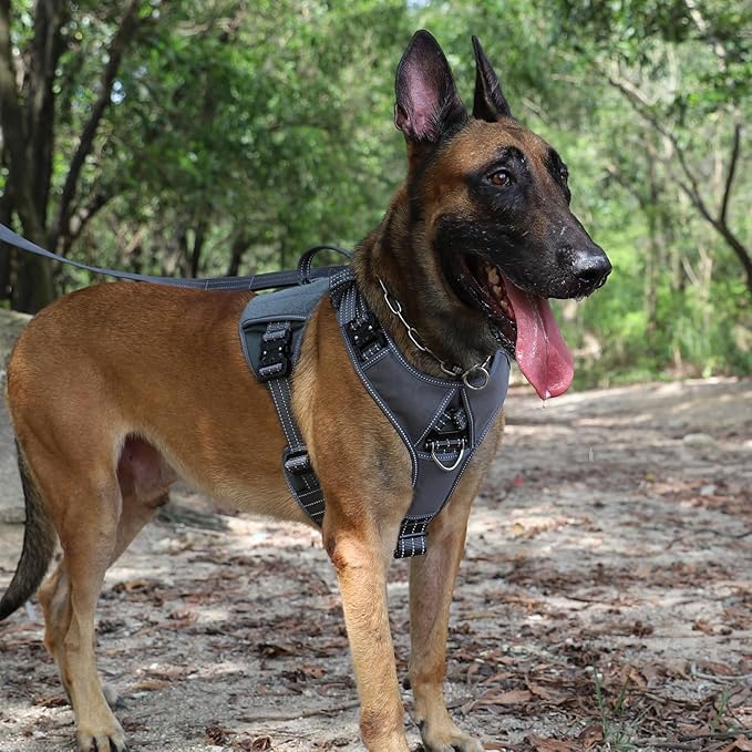 ICEFANG GN8 Tactical Dog Harness with 4X Metal Buckles for Large Sized Dogs,Reflective in Training Walking K9 Dog Vest,No-Pull Front Leash Clip,Adjustable Pet Harness (Grey, Large (Pack of 1))