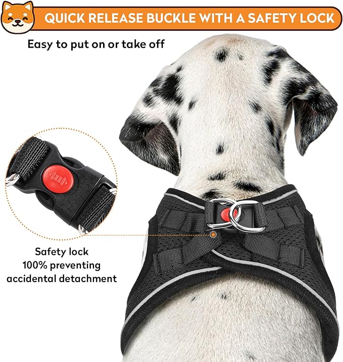 Dog Harness with Leash Set, No-Pull Step-in Reflective Pet Harness with 1 Leash Clips, Adjustable Soft Padded Easy Walk Dog Vest for Small Medium Large Dogs, Cats(Carbon Black, XXXSmall)