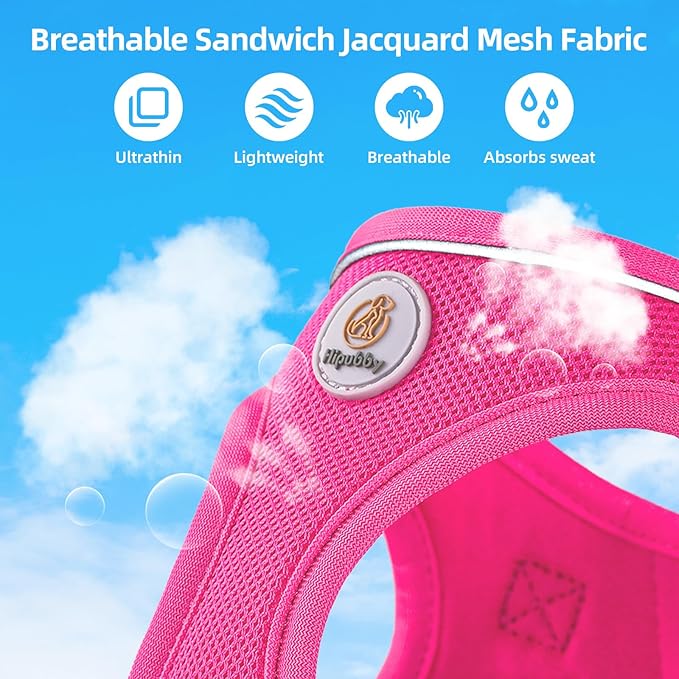 Dog Harness and Leash Set, No Pull Soft Mesh Puppy Harness for Small Medium Dogs, Cats - Step in Reflective Breathable Lightweight Vest Harness for Walking, Training - Rose Red, XXS