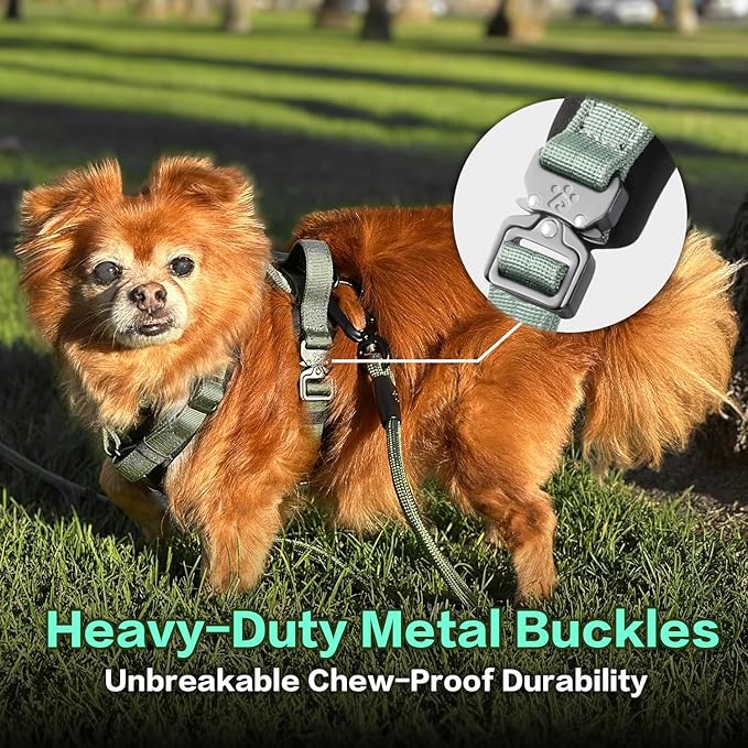 PawsPassion Dog Harness for Small Dogs, No Pull Dog Harness Easy Walk with Metal Hardware, Ergonomic Y-Shaped Design, Soft Padding, Padded Handle, Durable High-Tensile Nylon (Seabreeze, S)