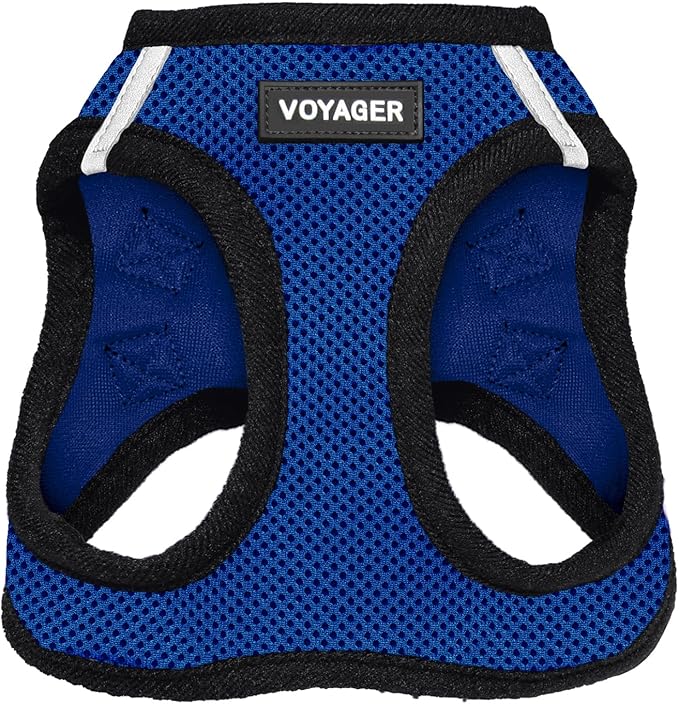 Best Pet Supplies Voyager Step-in Air Harness - All Weather Mesh, Reflective, No Pull Harness for Dogs, Cats - Secure with Hook & Loop Fastener, Buckle, Double D-Rings - Royal Blue/Black Trim, L