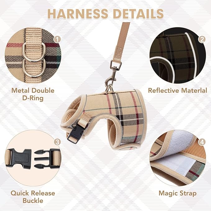 BINGPET Cat Harness and Leash Escape Proof - Soft and Air-Mesh Kitten Travel Walking Harness - Vest Harness for Small Medium Large Cats & Puppy Dog & Rabbit, Medium