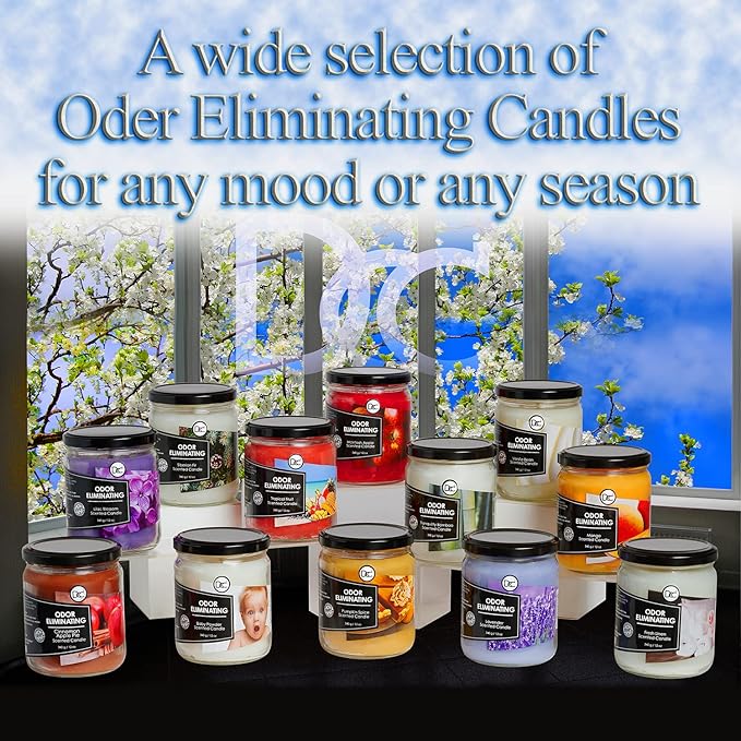 Bamboo Two Pack Odor Eliminating Highly Fragranced Candles - Eliminates 95% of Pet, Smoke, Food, and Other Smells Quickly - Up to 80 Hour Burn time - 12 Ounce Premium Soy Blend