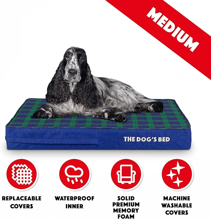 The Dog’s Bed Orthopedic Memory Foam Dog Bed, Medium Black Watch Tartan 34x22, Pain Relief Arthritis, Hip & Elbow Dysplasia, Post Surgery, Lameness, Supportive, Calming, Waterproof Washable Cover