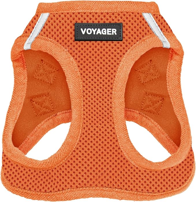 Best Pet Supplies Voyager Step-in Air Harness - All Weather Mesh, Reflective, No Pull Harness for Dogs, Cats - Secure with Hook & Loop Fastener, Buckle, Double D-Rings - Orange, XS