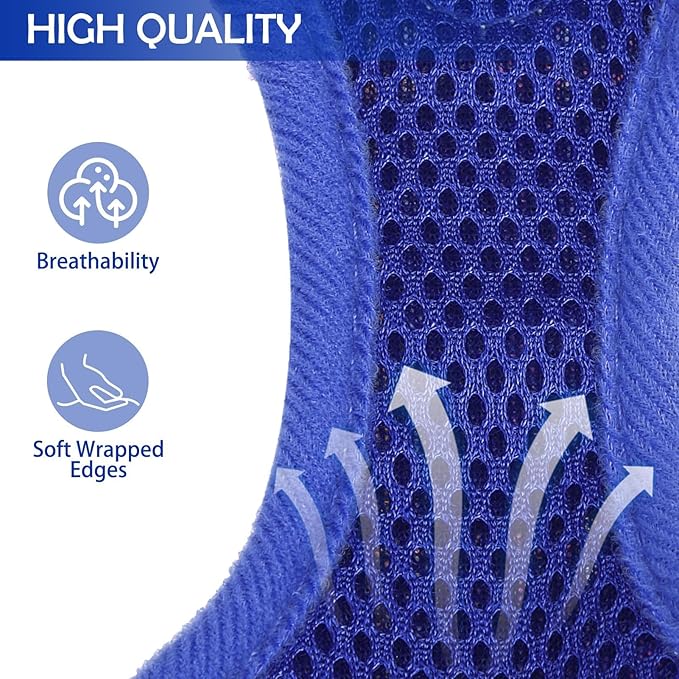 SCENEREAL Puppy Dog Harness with Leash Set for Small Medium Sized Dogs, Soft Mesh Step in Pet Harnesses and Leash, No Chock Plaid Adjustible No Pull Vest for Dogs Cats, Chihuahua,Bulldog (Blue M)