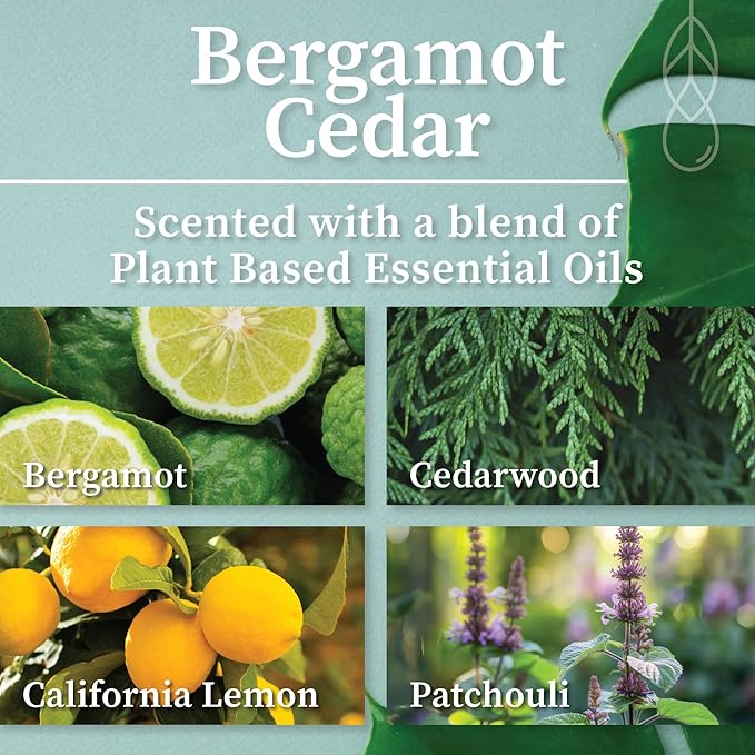 Hemlock Park Amber & Gold Wood Wick Candle Handcrafted with Natural Coconut Wax (Large 14 oz, Bergamot Cedar)