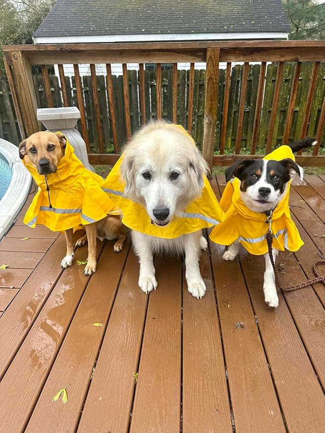 HAPEE Dog Raincoats with Reflective Strip Hoodie,Poncho Jacket for Large Dogs (A1-Yellow, 24B (Back Length 24"))
