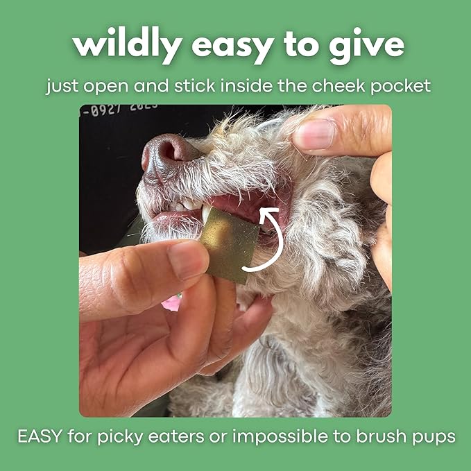 Bad Breath Oral Support for Dogs 5 in 1 – 10 Oral Melts – Natural Sage, Spirulina, Apple Cider Vinegar – Dog Dental Care Products & Breath Freshener – Fast Dissolving Dog Breath Treats