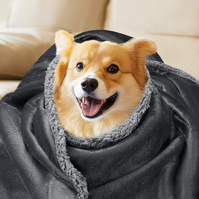 Waterproof Pet Blanket, Liquid Pee Proof Dog Blanket for Sofa Bed Couch, Reversible Sherpa Fleece Furniture Protector Cover for Small Medium Large Dogs Cats, Dark Gray X-Large(85" x 57")