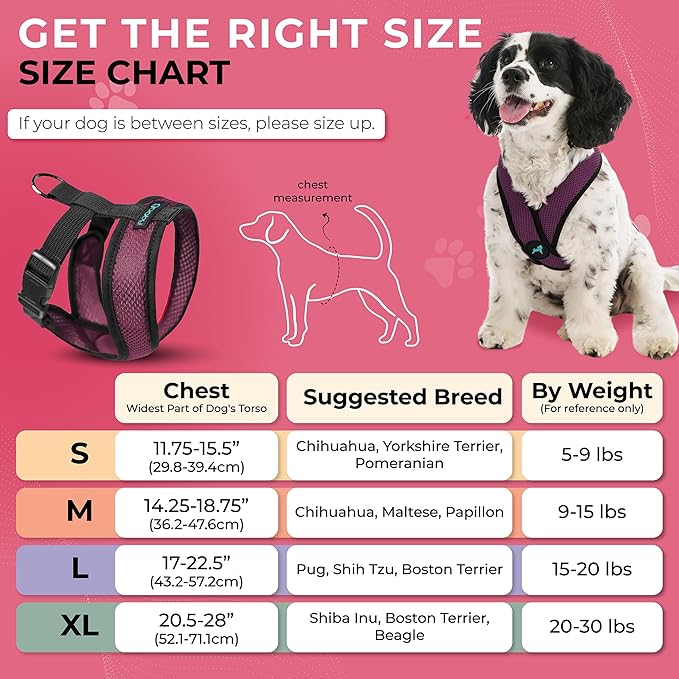 Gooby Comfort X Head In Harness - Purple, Medium - No Pull Small Dog Harness, Patented Choke-Free X Frame - Perfect on the Go Dog Harness for Medium Dogs No Pull, Small Dogs for Indoor and Outdoor Use