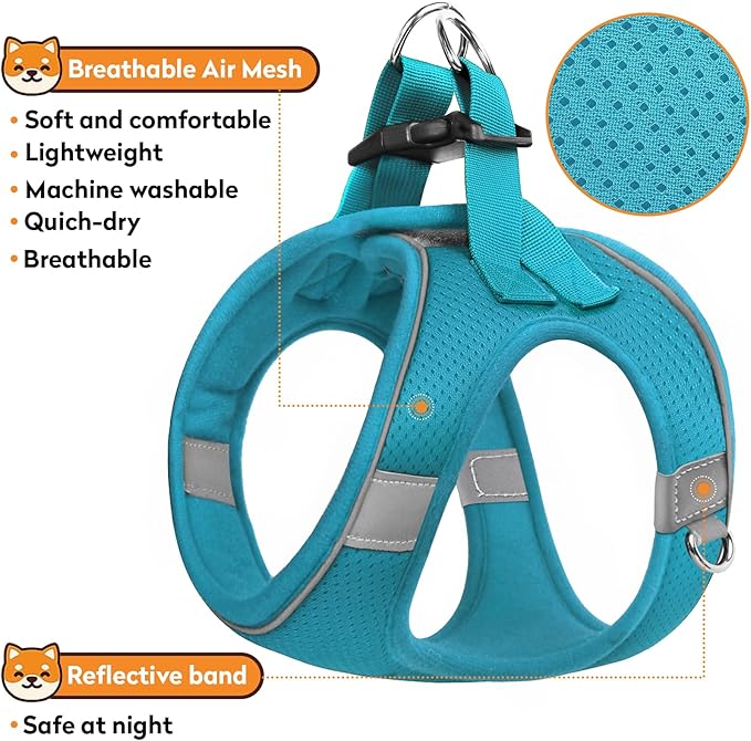 Dog Harness with Leash Set, No-Pull Step-in Reflective Pet Harness with 1 Leash Clips, Adjustable Soft Padded Easy Walk Dog Vest for Small Medium Large Dogs, Cats(Teal, Medium)
