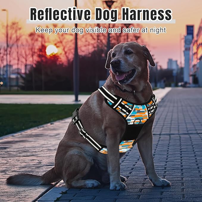 Rnivvi No Pull Dog Harness, Cute Boho Reflective Medium Sized Puppy Kitten Harness, Adjustable Soft Padded Vest for Medium Dogs, Heavy Duty Pet Vest with Easy Control Handle for Walking, Spliced